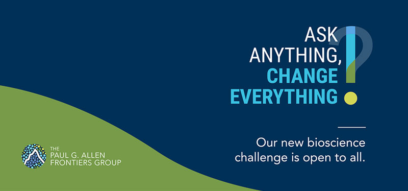 Ask Anything, Change Everything